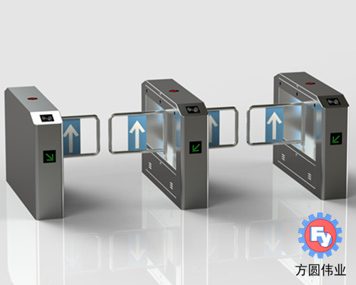 标准摆闸